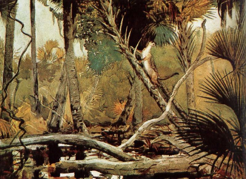 Winslow Homer Florida Jungle china oil painting image